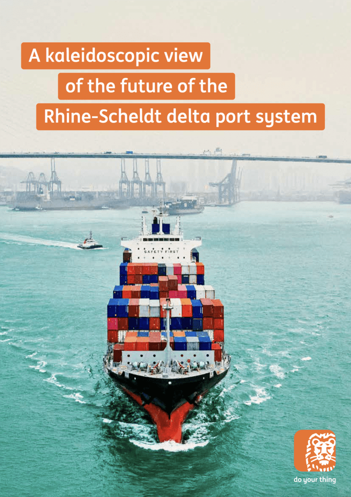 Cover image of study: "A kaleidoscopic view of the future of the Rhine-Scheldt delta port system"